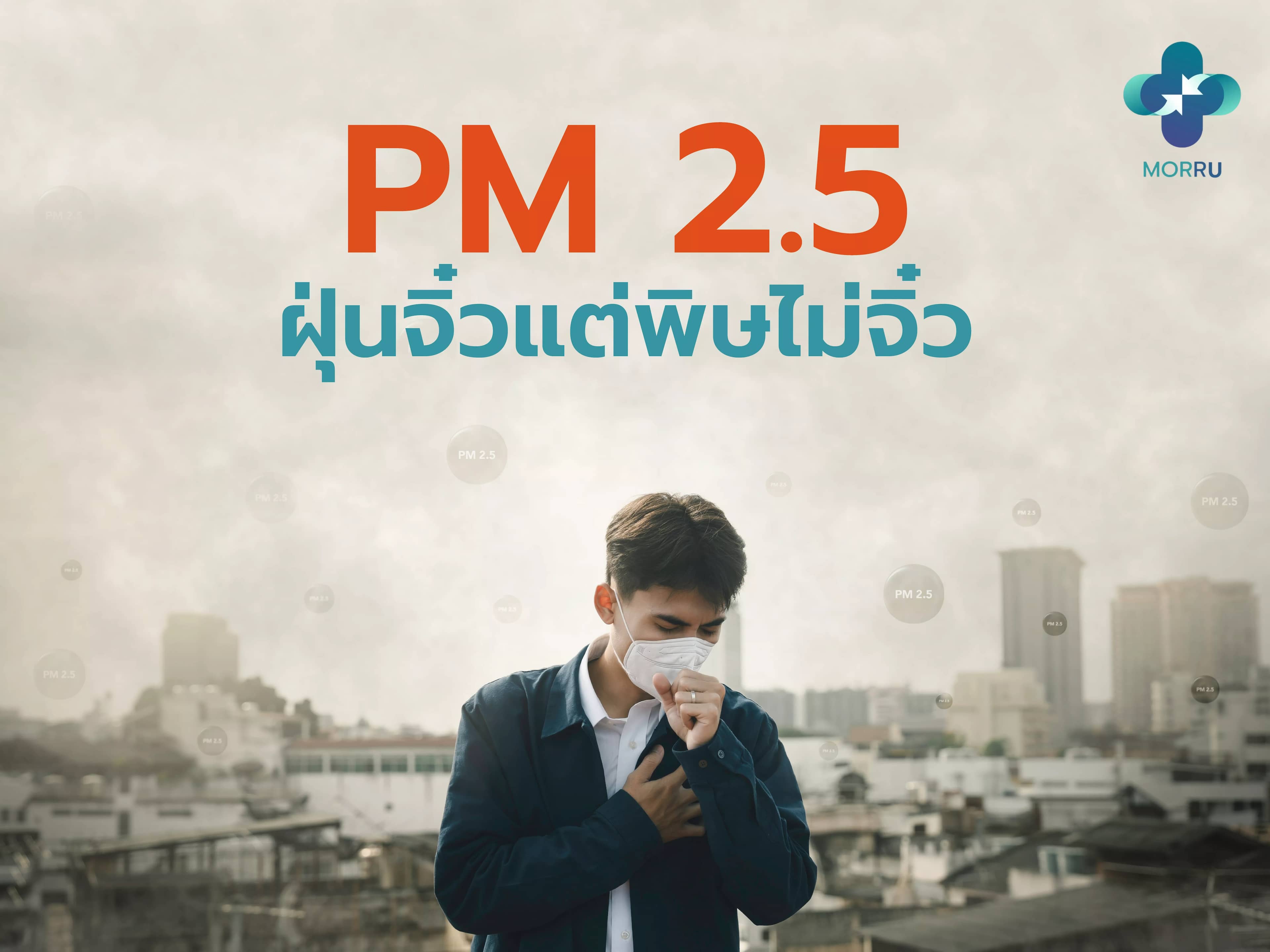 PM 2.5 ฝุ่นจิ๋ว แต่พิษไม่จิ๋ว